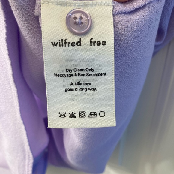 Wilfred Free Button Up V-Neck Mini Shift Dress - Picture 4 of 5